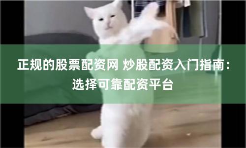 正规的股票配资网 炒股配资入门指南：选择可靠配资平台