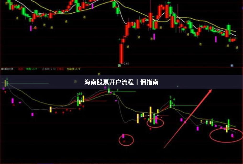 海南股票开户流程｜佣指南