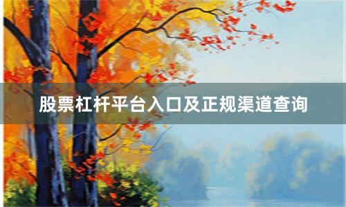 股票杠杆平台入口及正规渠道查询